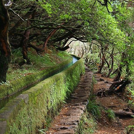Moradia Ponte De Pedra Villa Sao Vicente  Ngoại thất bức ảnh